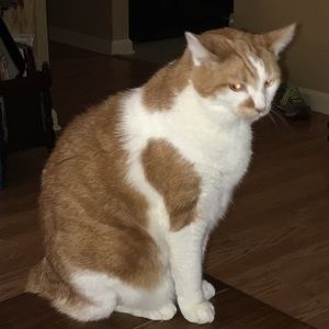 Meet your Posher, Darlene